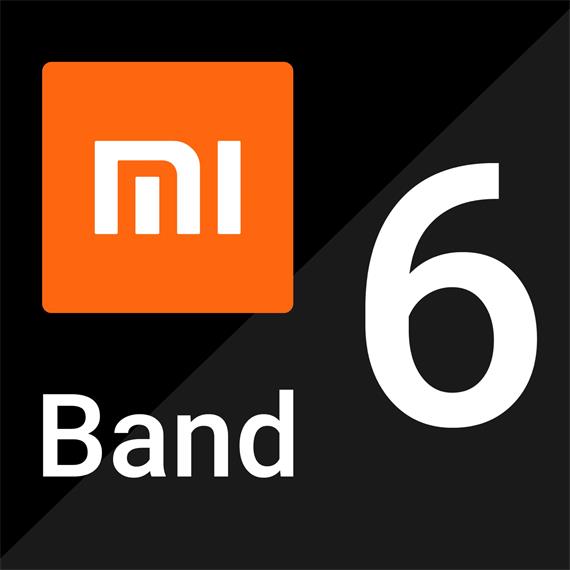 XIAOMI MI SMART BAND 6 Pulsera de Actividad (BHR4951GL)
