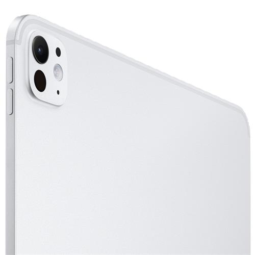 Apple Ipad Pro 11 M4 WiFi 256GB Silver (MVV93TY/A)