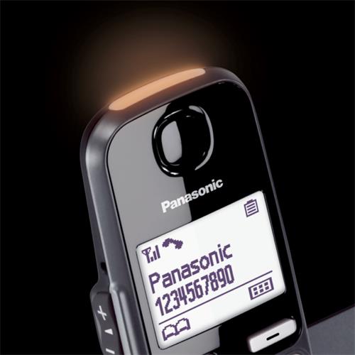 Panasonic KX-TGE250SPB Teléfono Inalámbrico para Mayores Negro