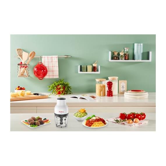 Moulinex DJ5201 Picadora Moulinette Essential 300W