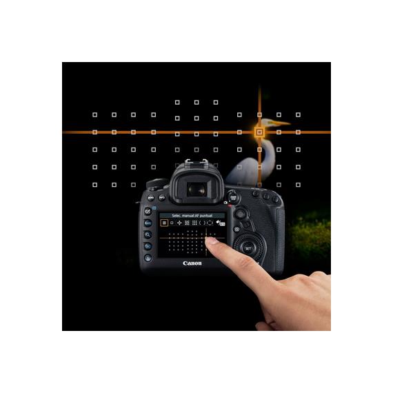 CANON EOS 5D MARK IV CUERPO