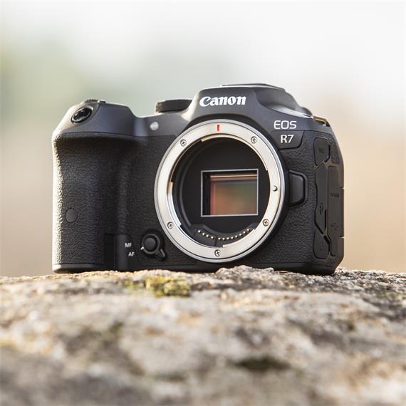 Canon Eos R7 Cuerpo