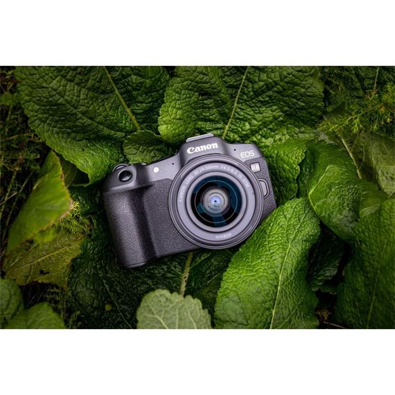 Canon Eos R8 Cuerpo - 24,2MP Full Frame