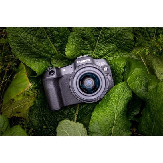 Canon EOS R8 + Objetivo RF 24-50mm F4.5-6.3 IS STM