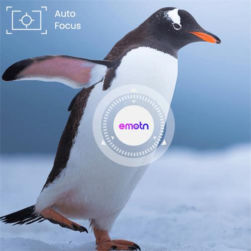 Emotn N1 Proyector Full HD con 500 lúmenes y licencia oficial Netflix
