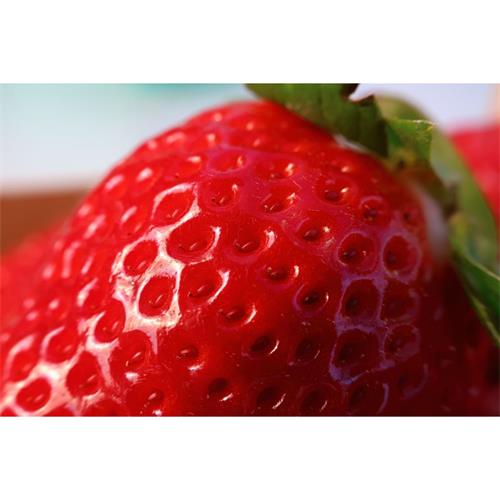 Canon RF-S18-150 MM F3.5-6.3 IS STM