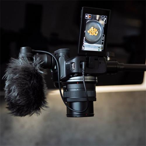 Canon EOS R50 + RF-S 18-45mm F4.5-6.3 IS STM Creator Kit
