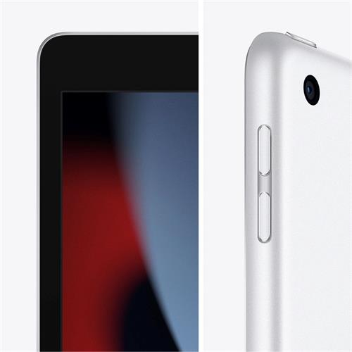 Apple Ipad (9ª Generación) 10,2" 64GB Wifi Plata  (MK2L3RK)