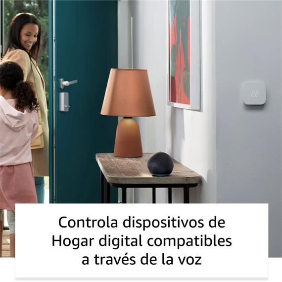 Amazon Echo Dot Altavoz Inteligente Alexa (5ª GEN) Charcoal