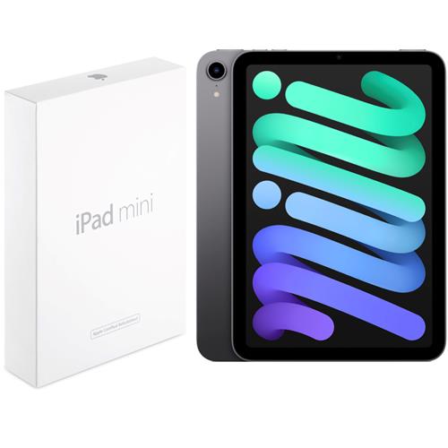Apple Ipad Mini (6ª Gen.) 256GB Wifi Gray Certified Refurbished (FK7T3B/A)