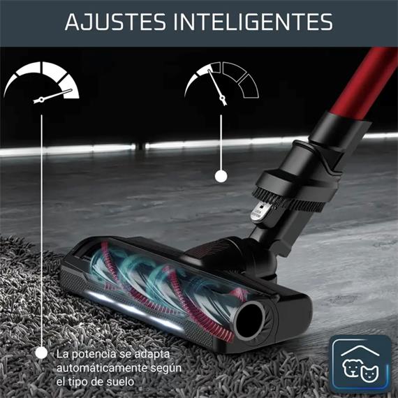 Rowenta RH2059 X-Force Flex 9.60 Animal Care Apiradora Sin Cable Roja y Gris