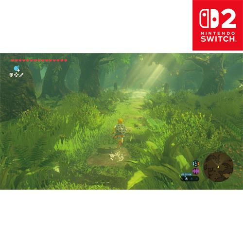 Nintendo Zelda Breath of the Wild Juego Nintendo Switch 2