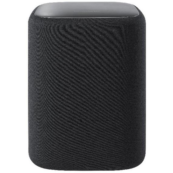 Harman Kardon Enchant Subwoofer Gris