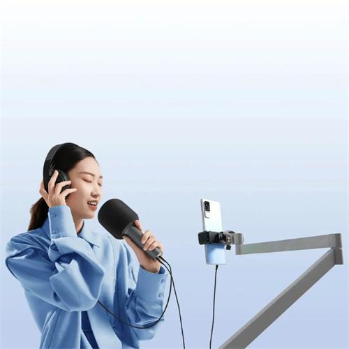 Xiaomi Micrófono Karaoke Negro (BHR6752GL)