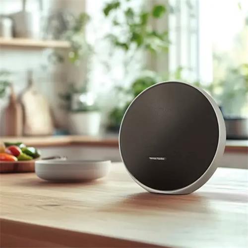Harman Kardon Onyx Studio 9 Altavoz Inalámbrico Portátil Negro