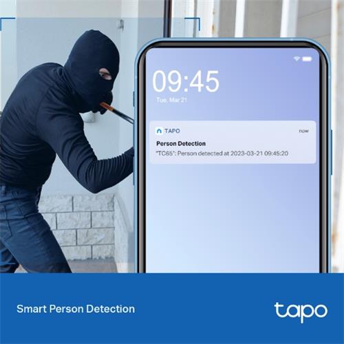 Tp-Link Tapo TC65 Cámara de Vigilancia Exterior IP66, 2K, 3MP, Visión nocturna, WiFi, Alarma