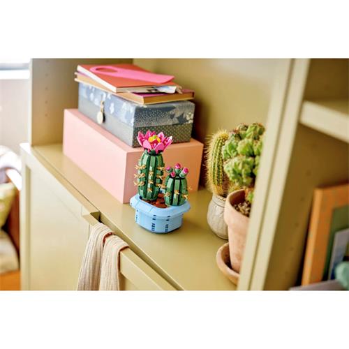 LEGO 11509 Cactus en Flor