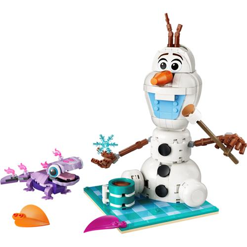 LEGO 43287 Divertido Picnic de Olaf y Bruni