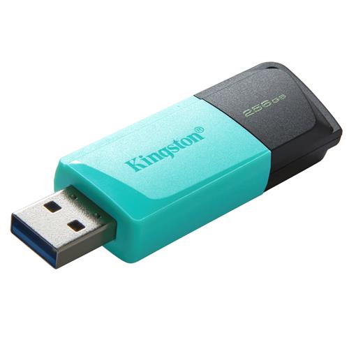 Memoria USB 256GB 3.2 Kingston Datatraveler Exodia M