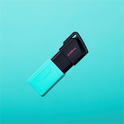 Memoria USB 256GB 3.2 Kingston Datatraveler Exodia M