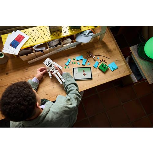 LEGO 21594 The Skeleton