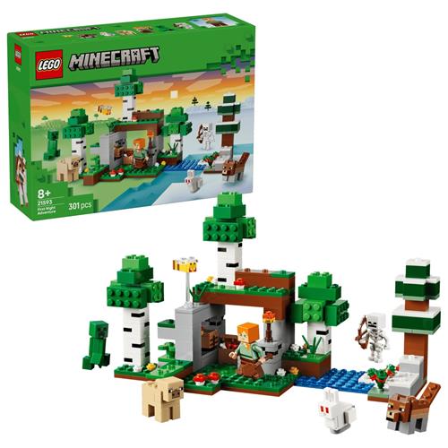 LEGO 21593 First Night Adventure