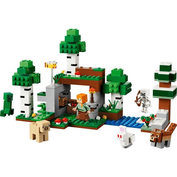 LEGO 21593 First Night Adventure