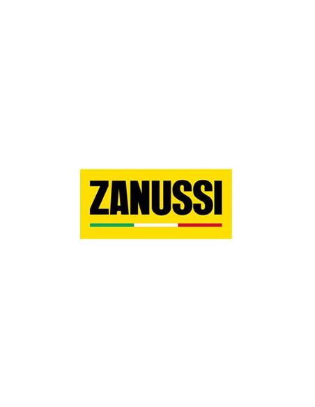 ZANUSSI